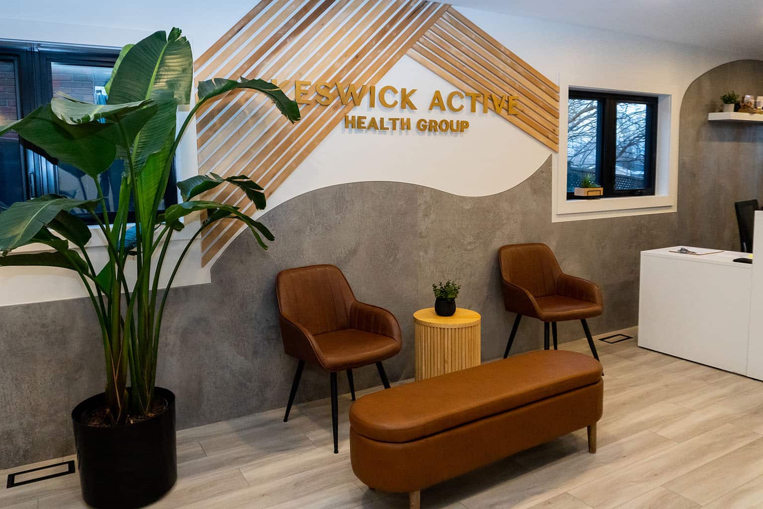 Modern waiting area with chairs and plant in clinic